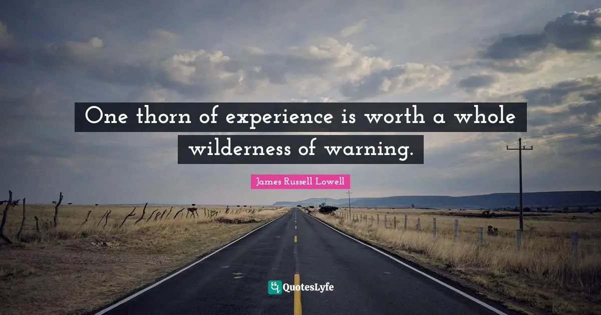 One thorn of experience is worth a whole wilderness of warning.