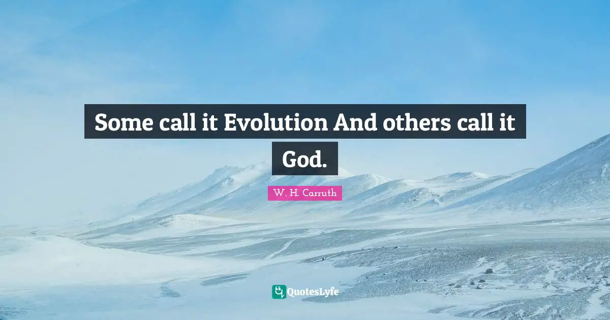 Some call it Evolution And others call it God.