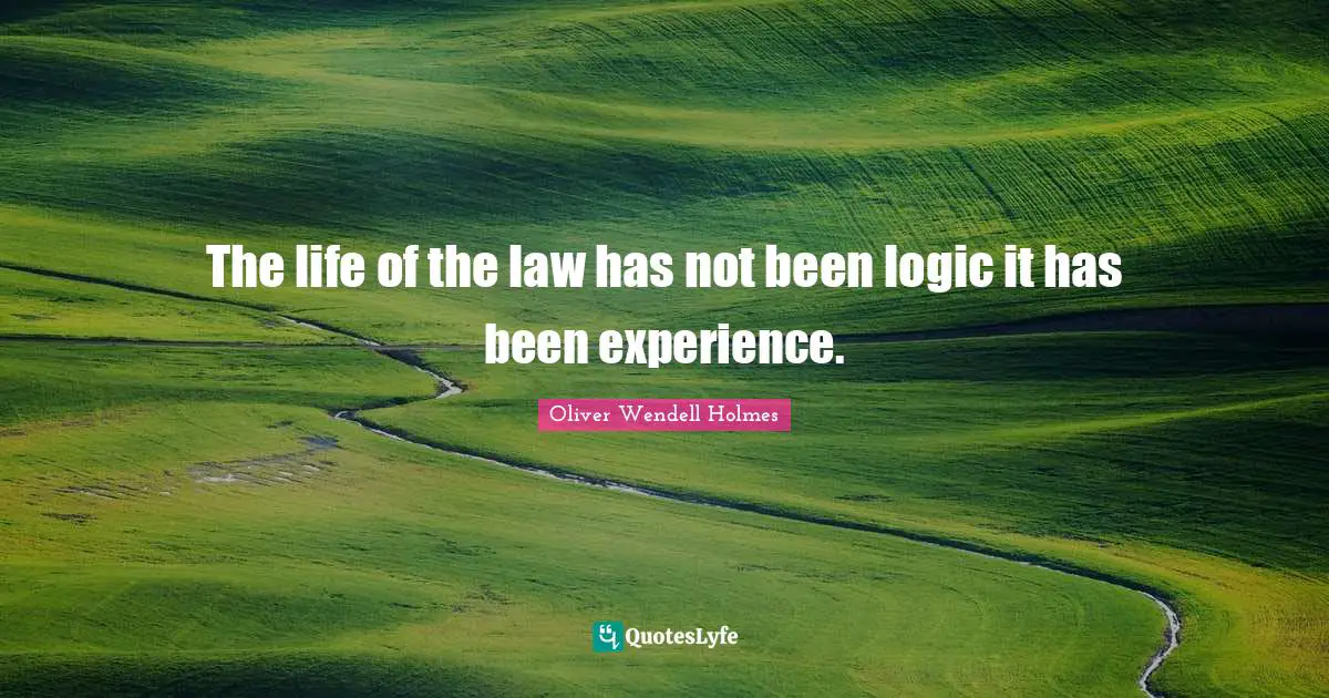 The life of the law has not been logic it has been experience.