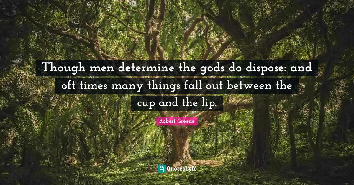 Though men determine the gods do dispose: and oft times many things fall out between the cup and the lip.