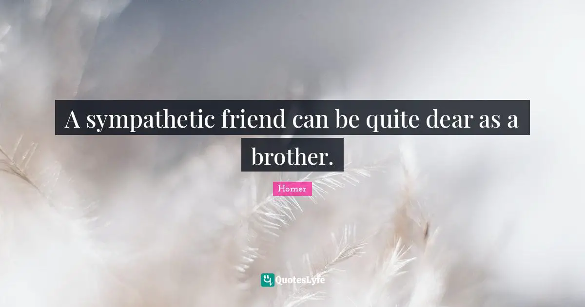 A sympathetic friend can be quite dear as a brother.