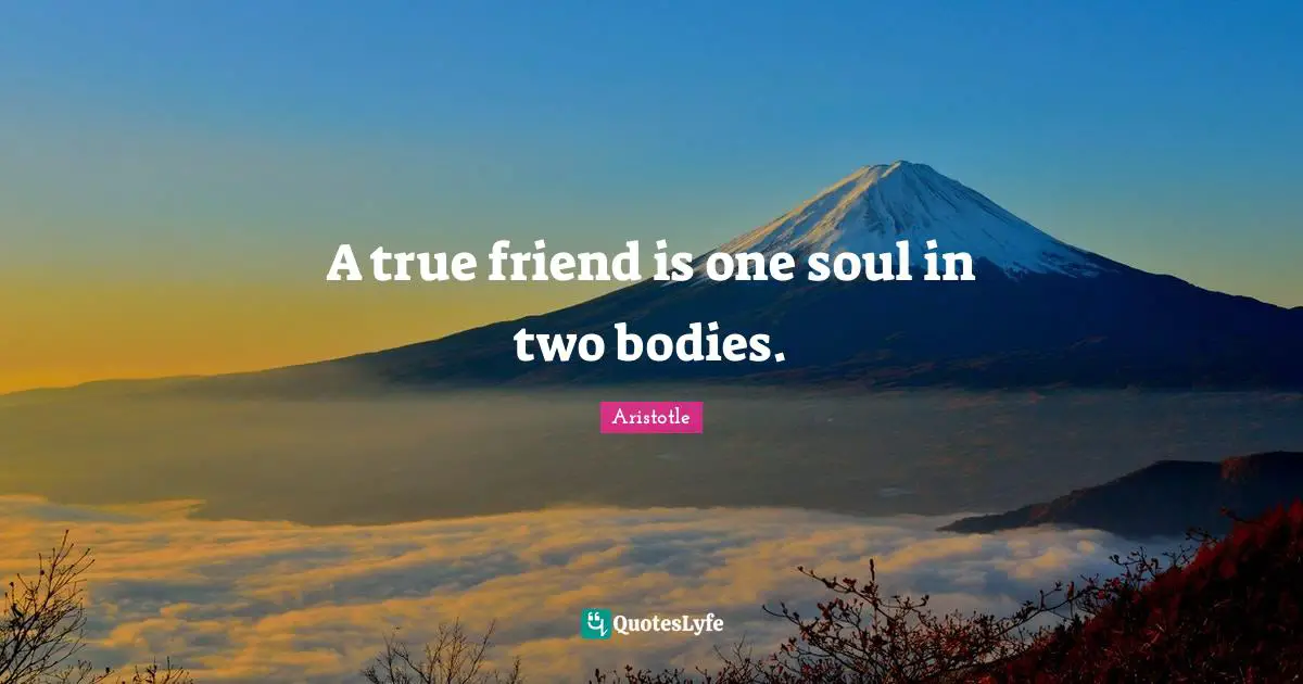 A true friend is one soul in two bodies.