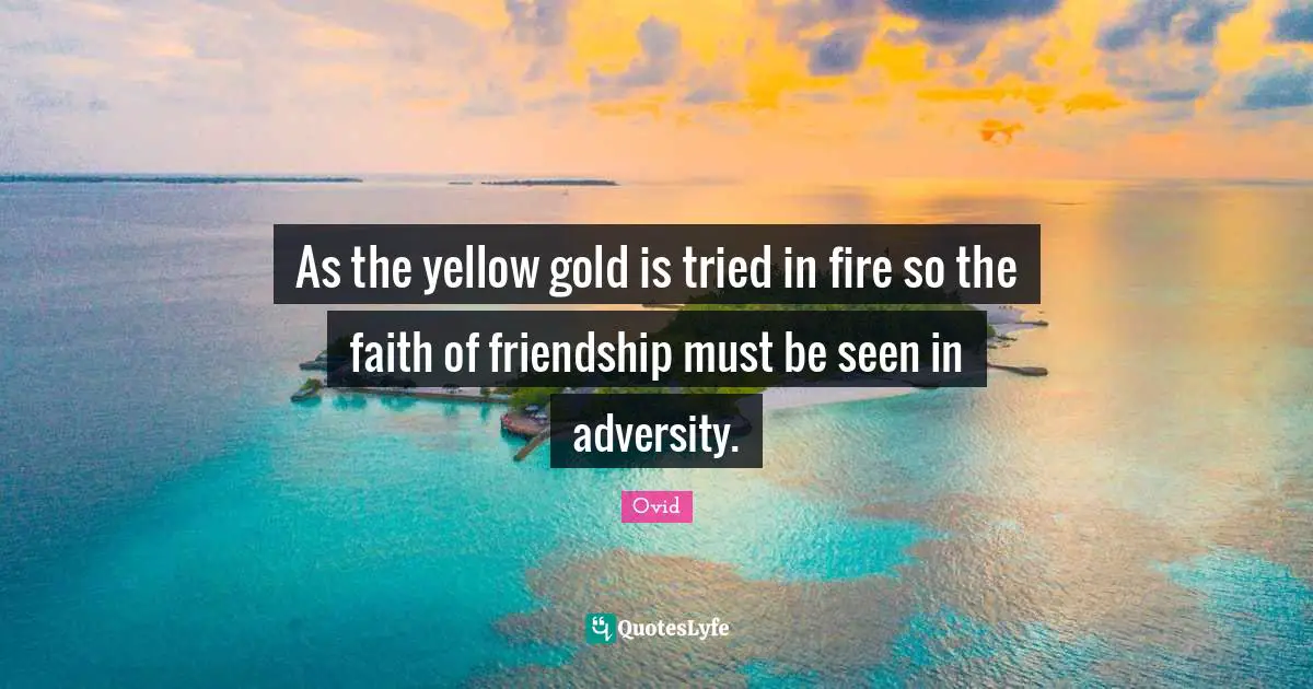 As the yellow gold is tried in fire so the faith of friendship must be seen in adversity.