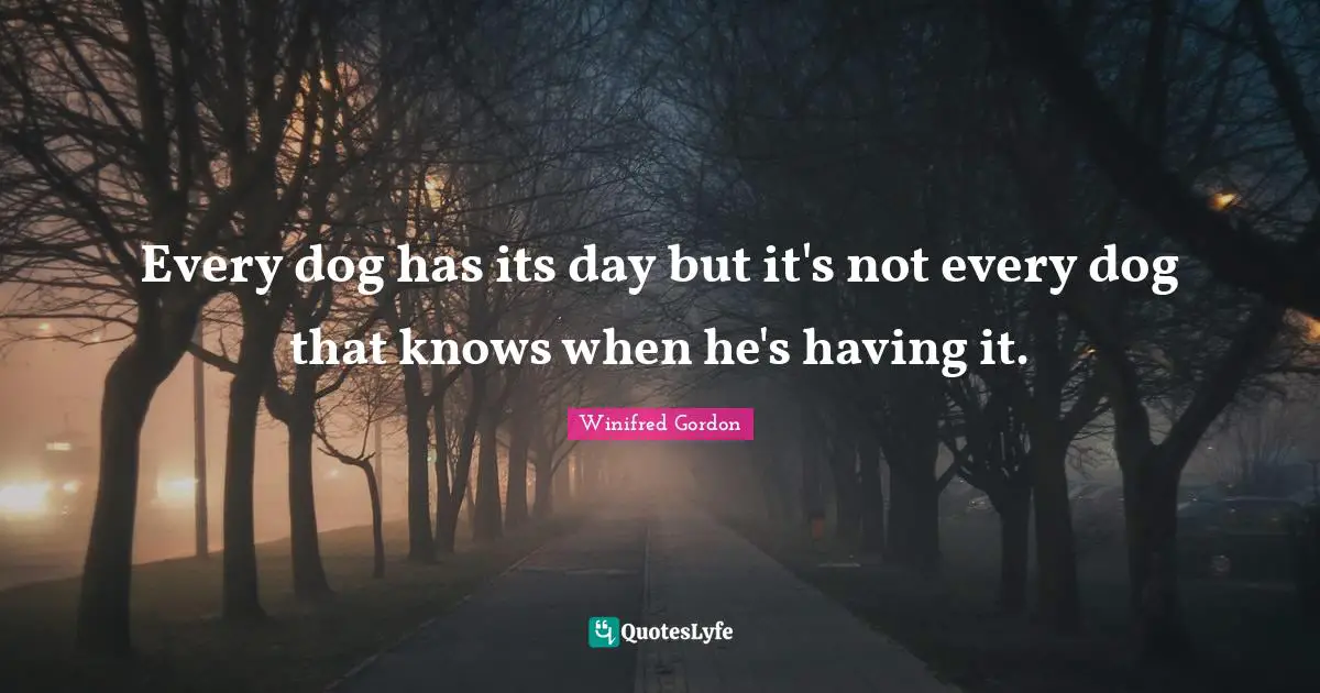 Every dog has its day but it's not every dog that knows when he's having it.