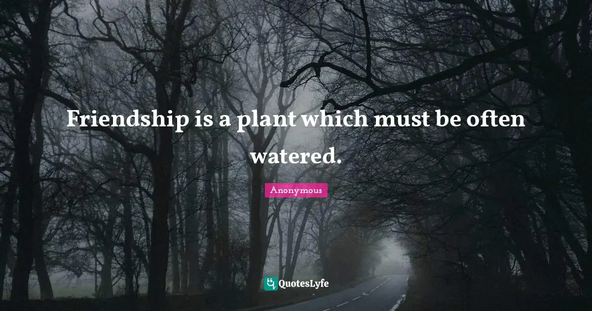 Friendship is a plant which must be often watered.