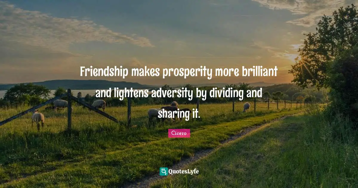 Friendship makes prosperity more brilliant and lightens adversity by dividing and sharing it.