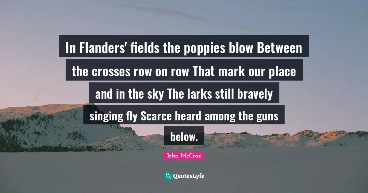 In Flanders' fields the poppies blow Between the crosses row on row That mark our place and in the sky The larks still bravely singing fly Scarce heard among the guns below.