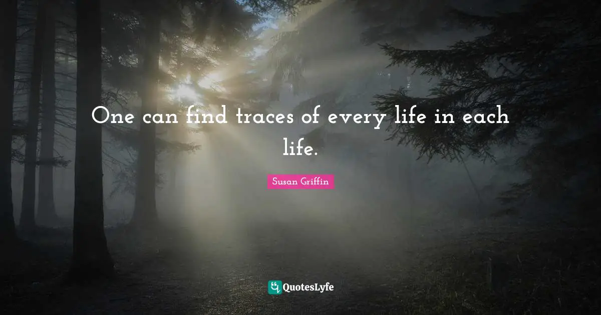One can find traces of every life in each life.