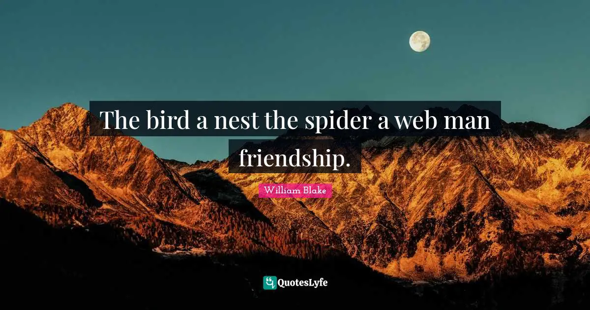 William Blake Quotes: The bird a nest the spider a web man friendship.