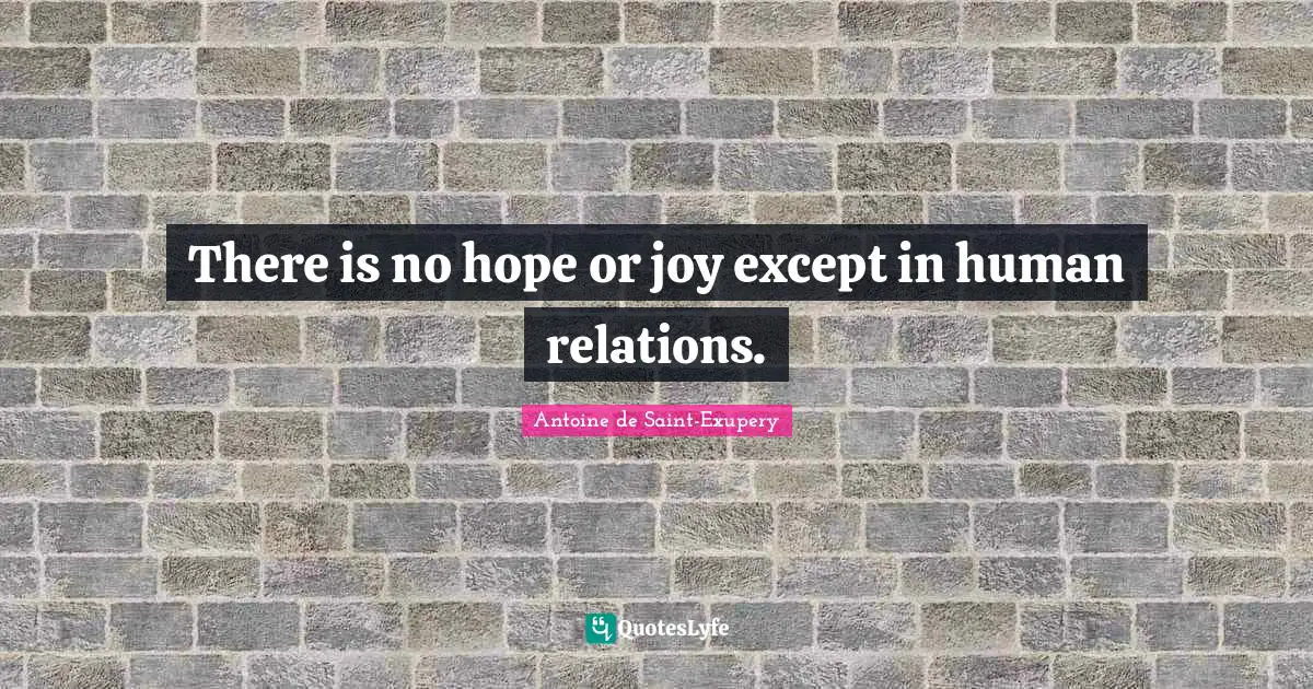 There is no hope or joy except in human relations.
