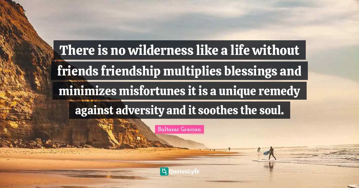 There is no wilderness like a life without friends friendship multiplies blessings and minimizes misfortunes it is a unique remedy against adversity and it soothes the soul.