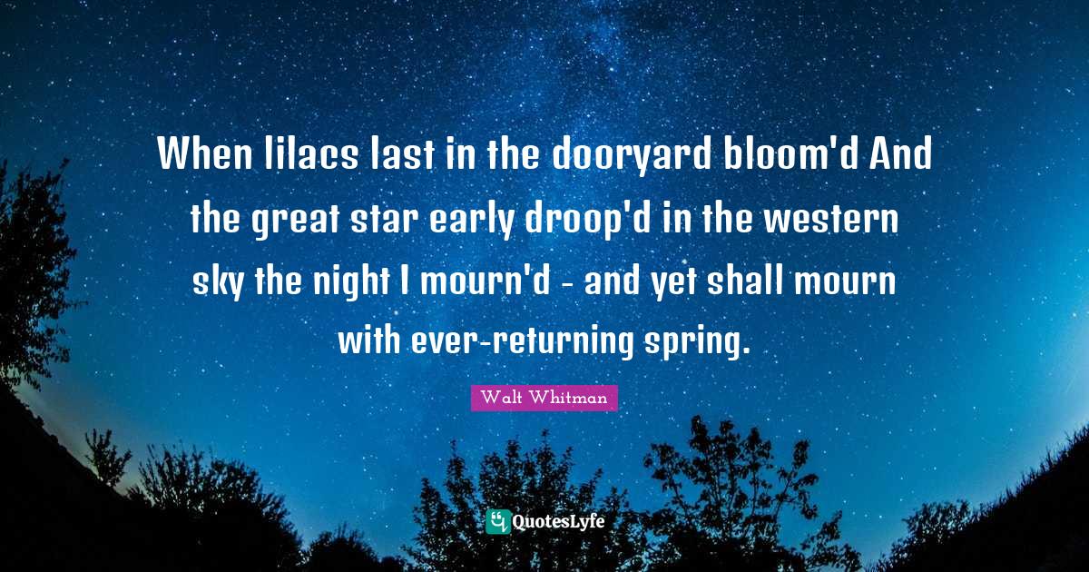 When lilacs last in the dooryard bloom'd And the great star early droo