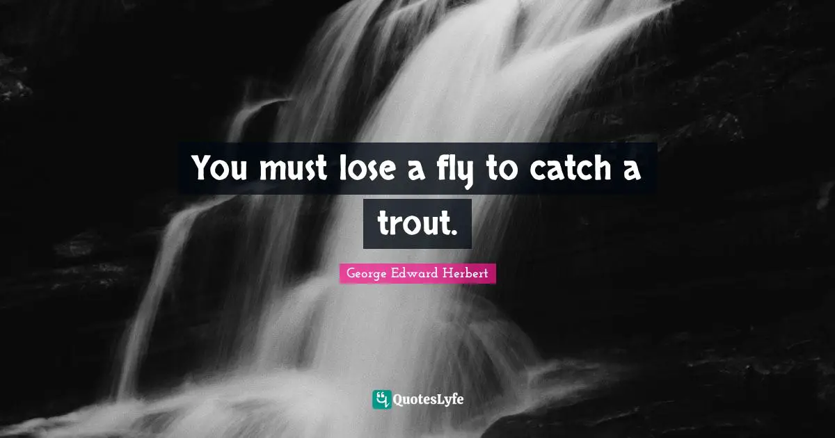 You must lose a fly to catch a trout.