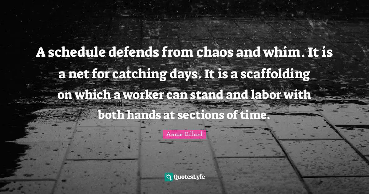 Goals Quotes: "A schedule defends from chaos and whim. It is a net for catching days. It is a scaffolding on which a worker can stand and labor with both hands at sections of time."