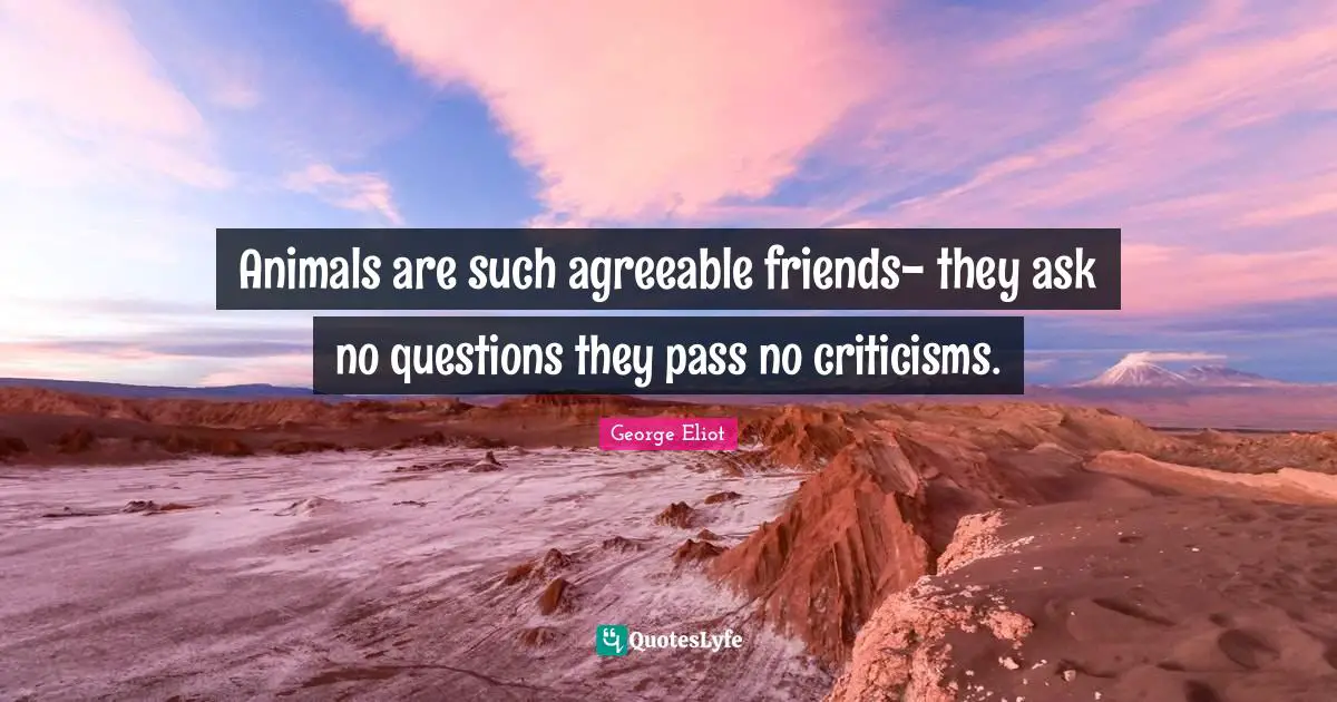 Animals are such agreeable friends- they ask no questions they pass no criticisms.