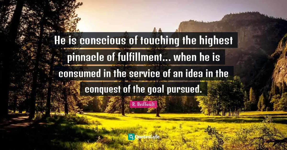 He is conscious of touching the highest pinnacle of fulfillment... when he is consumed in the service of an idea in the conquest of the goal pursued.