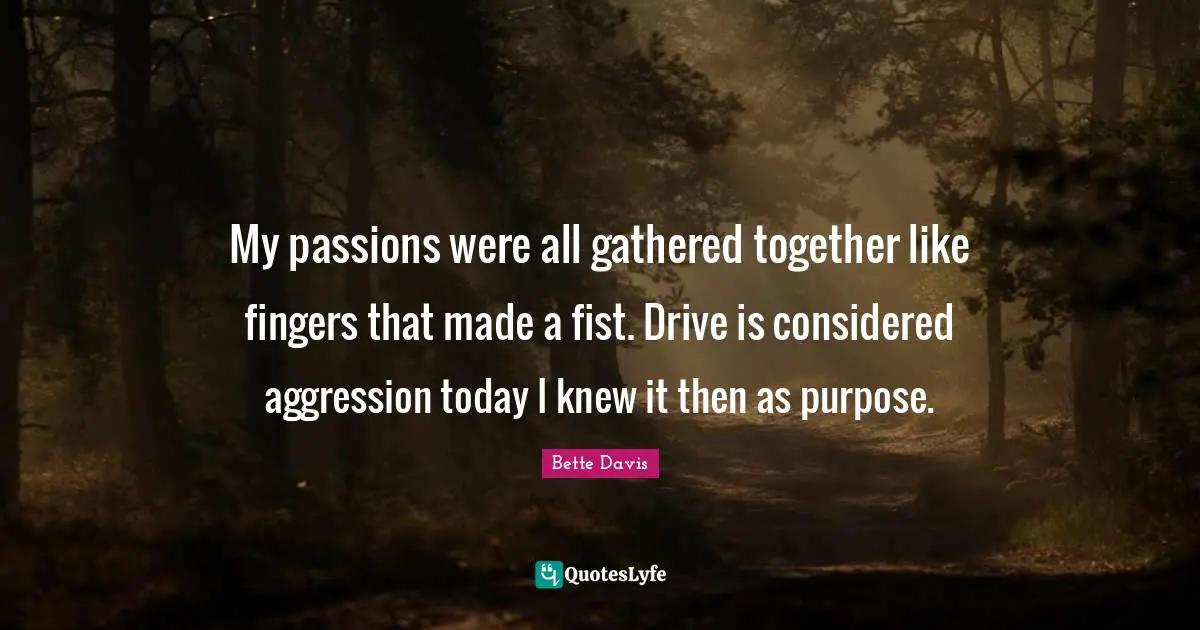 My passions were all gathered together like fingers that made a fist. Drive is considered aggression today I knew it then as purpose.