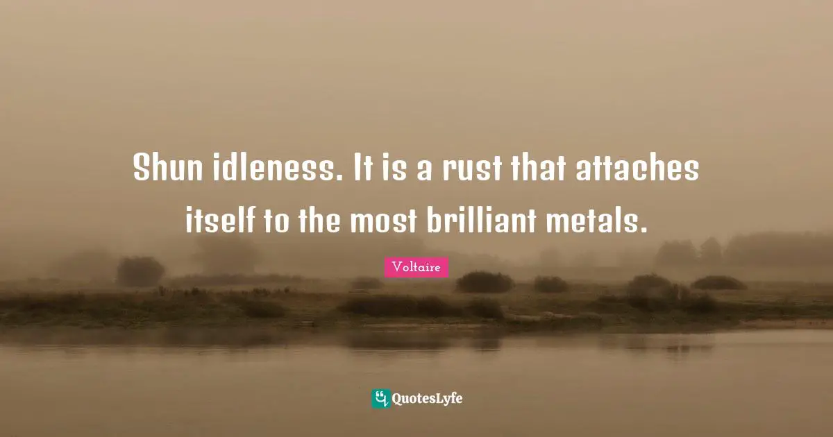 Shun idleness. It is a rust that attaches itself to the most brilliant metals.