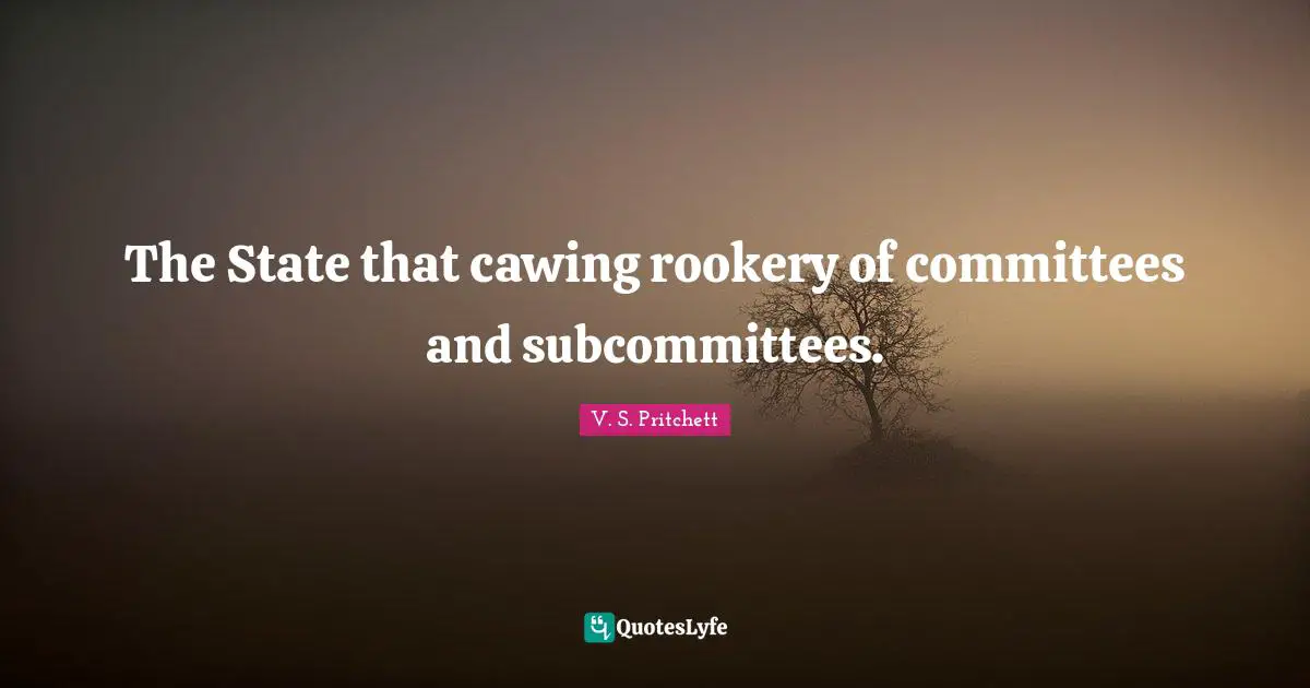 The State that cawing rookery of committees and subcommittees.