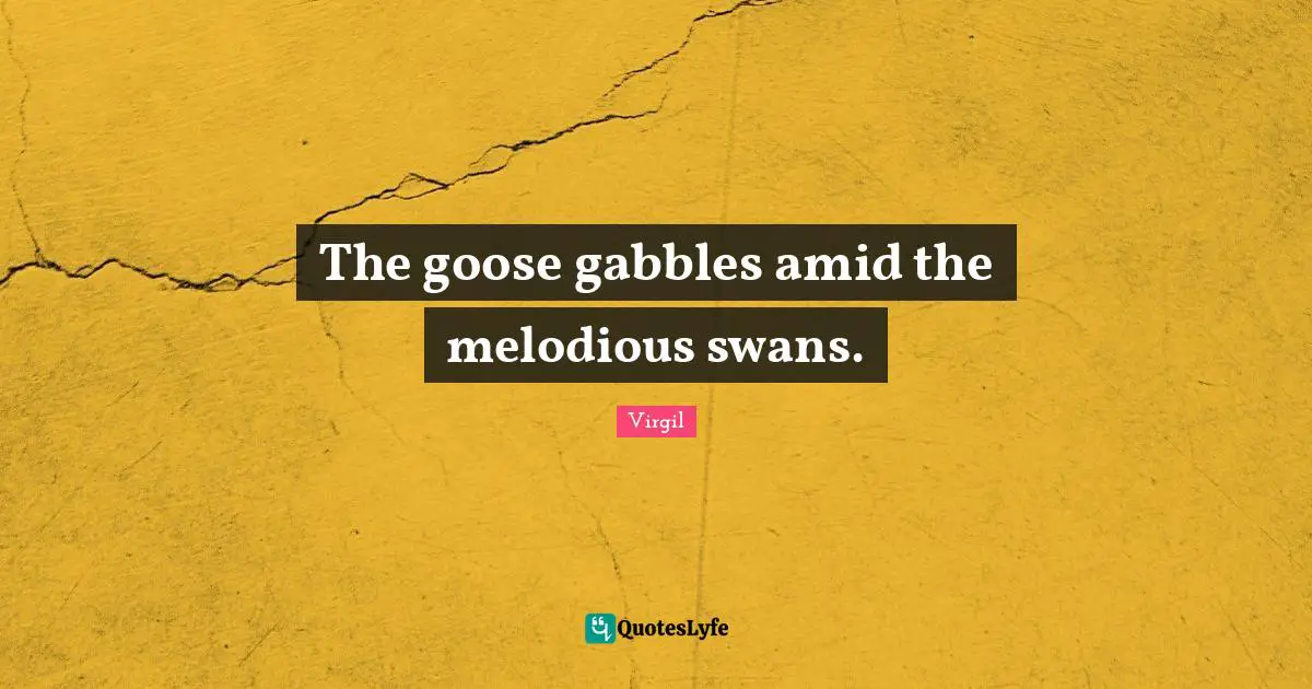 The goose gabbles amid the melodious swans.
