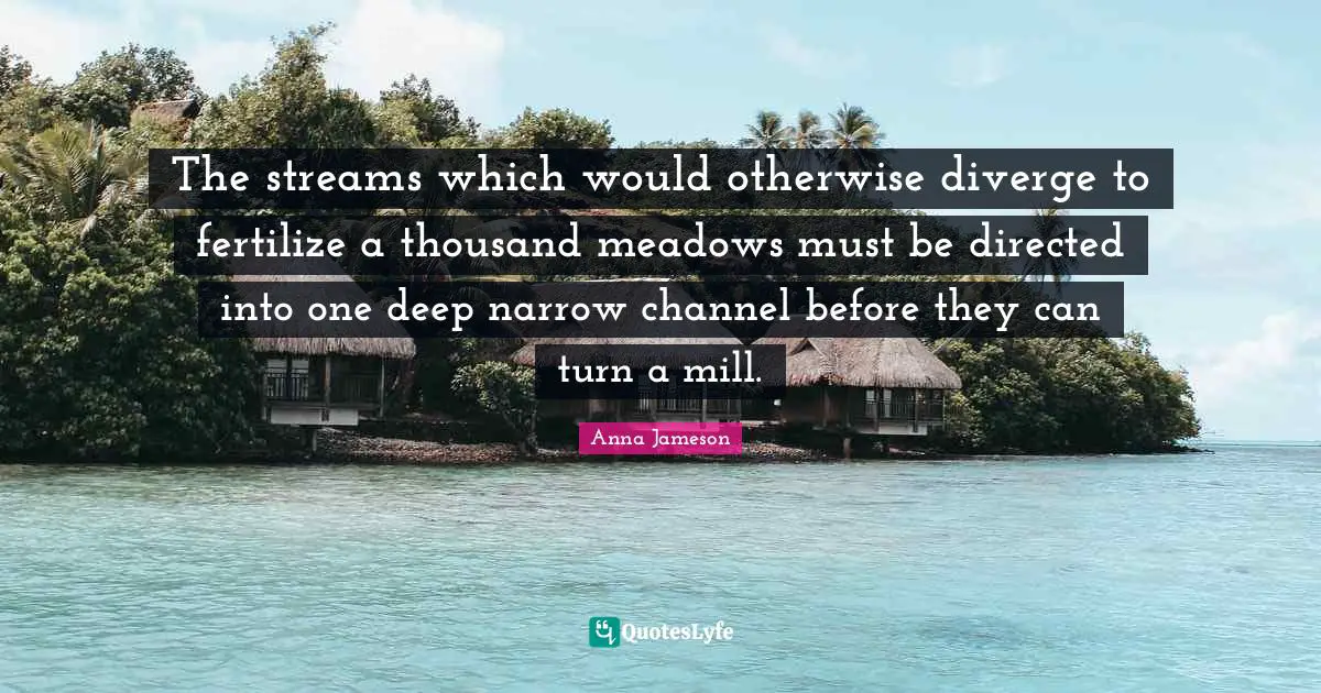 The streams which would otherwise diverge to fertilize a thousand meadows must be directed into one deep narrow channel before they can turn a mill.