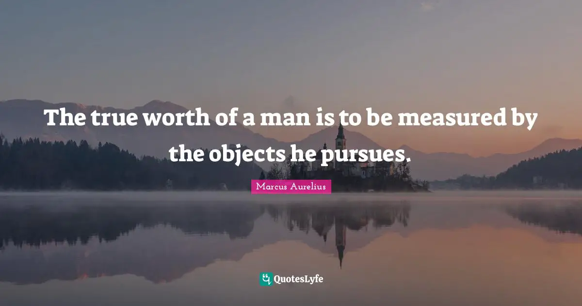 Goals Quotes: "The true worth of a man is to be measured by the objects he pursues."