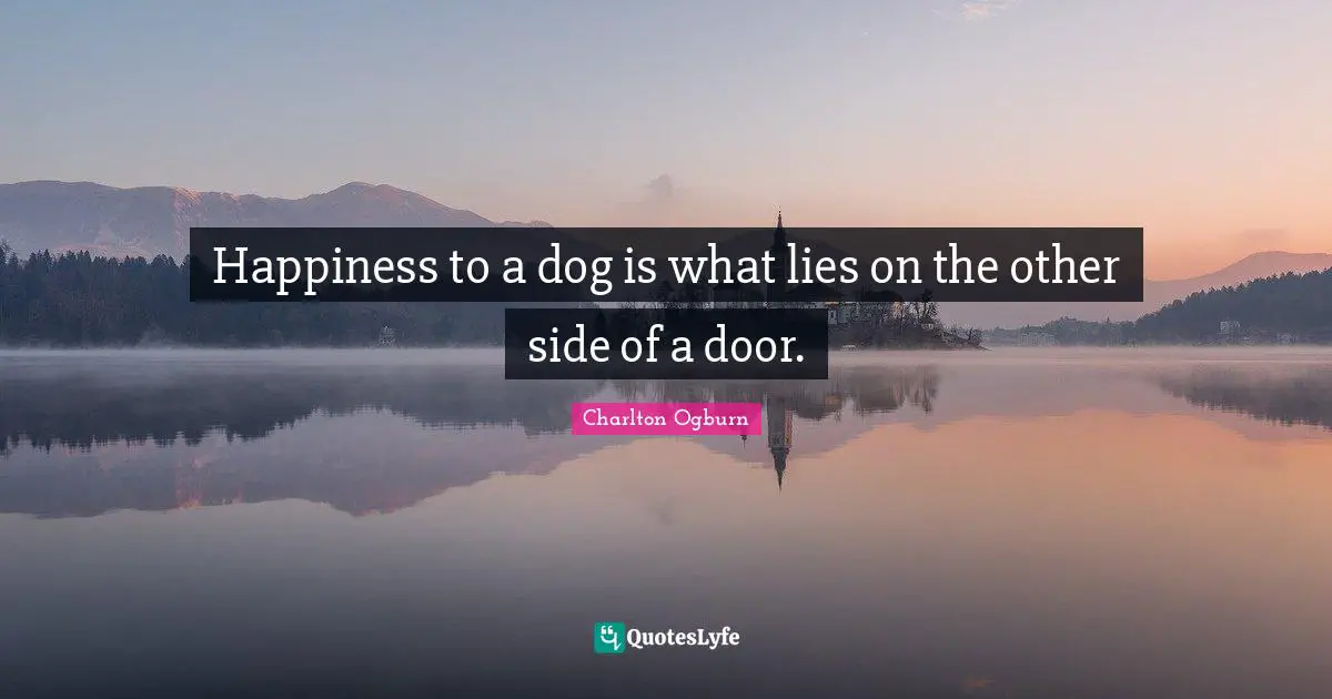 Happiness to a dog is what lies on the other side of a door.