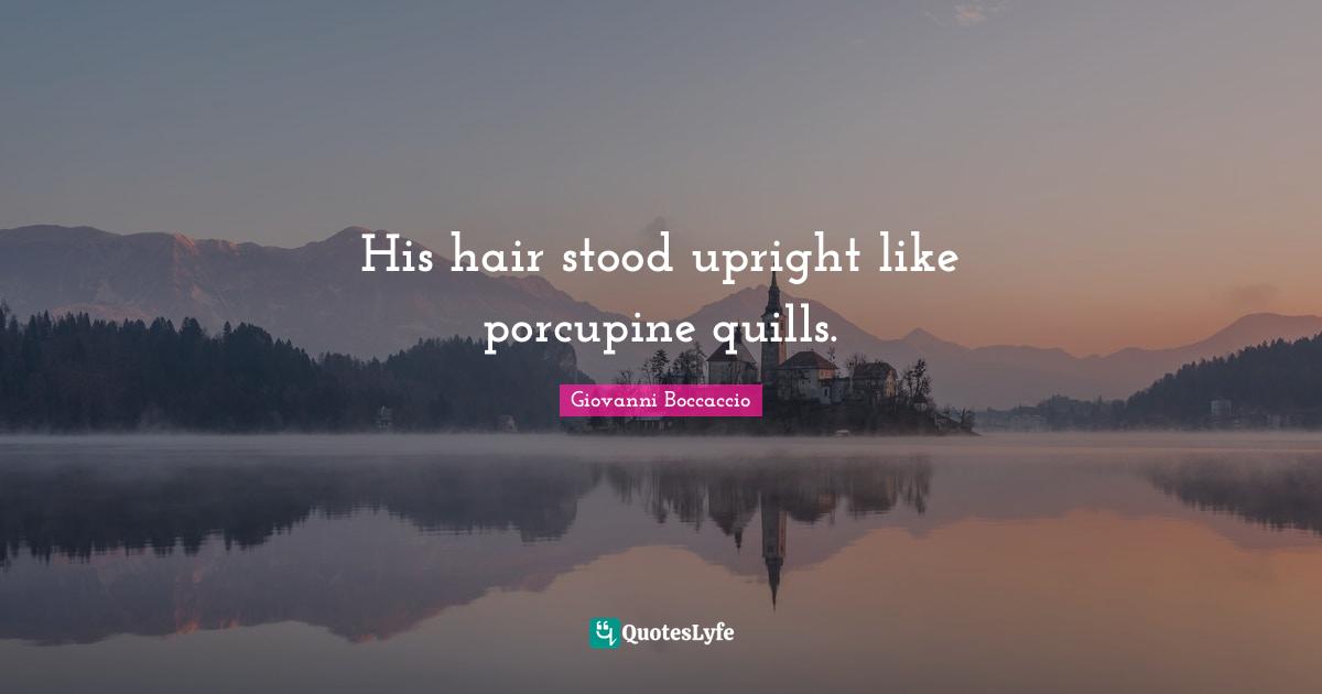 His hair stood upright like porcupine quills.