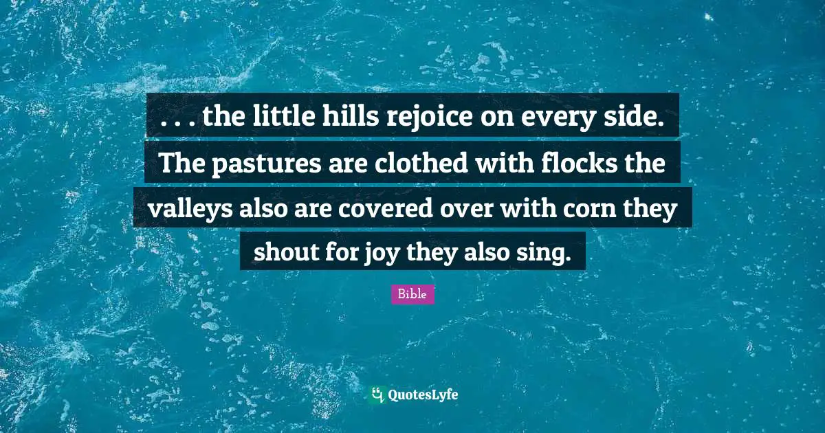 . . . the little hills rejoice on every side. The pastures are clothed with flocks the valleys also are covered over with corn they shout for joy they also sing.