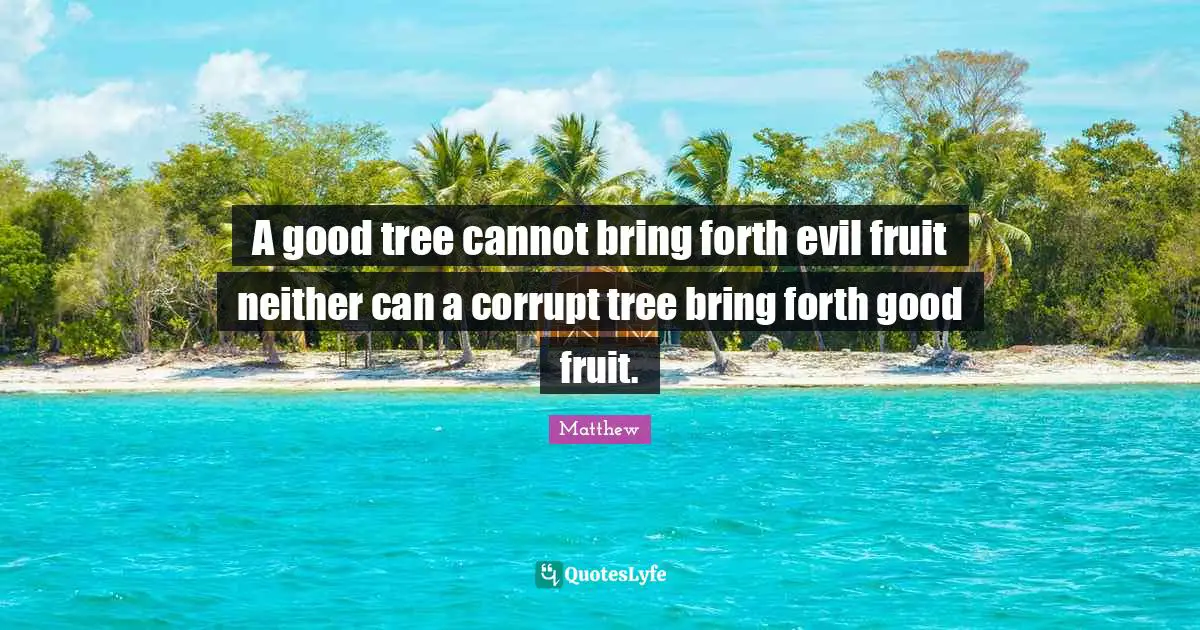 A good tree cannot bring forth evil fruit neither can a corrupt tree bring forth good fruit.