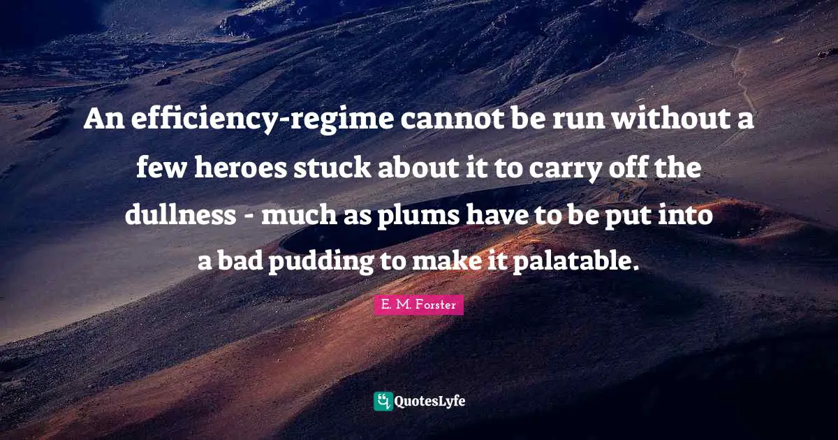 An efficiency-regime cannot be run without a few heroes stuck about it to carry off the dullness - much as plums have to be put into a bad pudding to make it palatable.