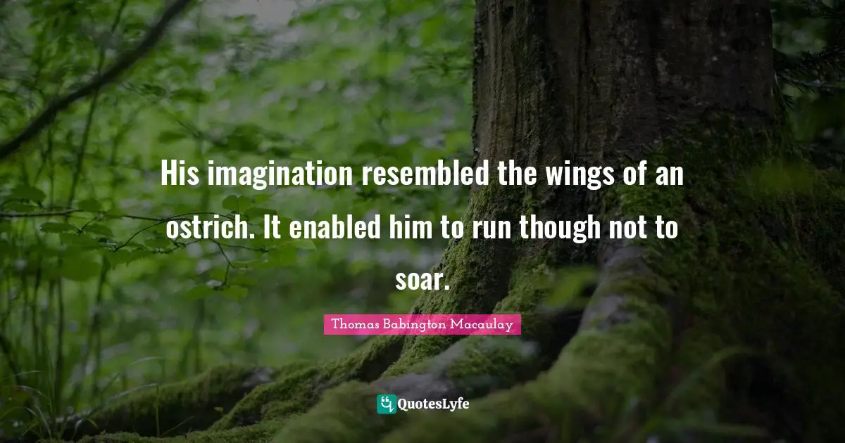 His imagination resembled the wings of an ostrich. It enabled him to run though not to soar.