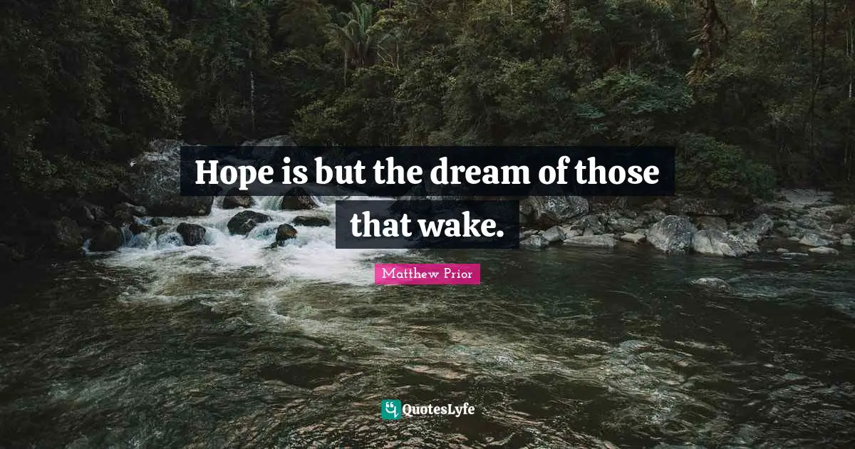 Hope is but the dream of those that wake.