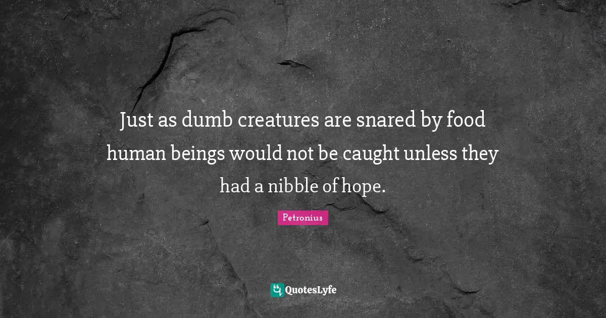 Just as dumb creatures are snared by food human beings would not be caught unless they had a nibble of hope.