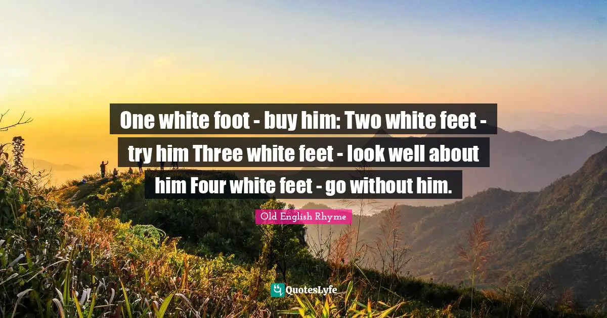 One white foot - buy him: Two white feet - try him Three white feet - look well about him Four white feet - go without him.