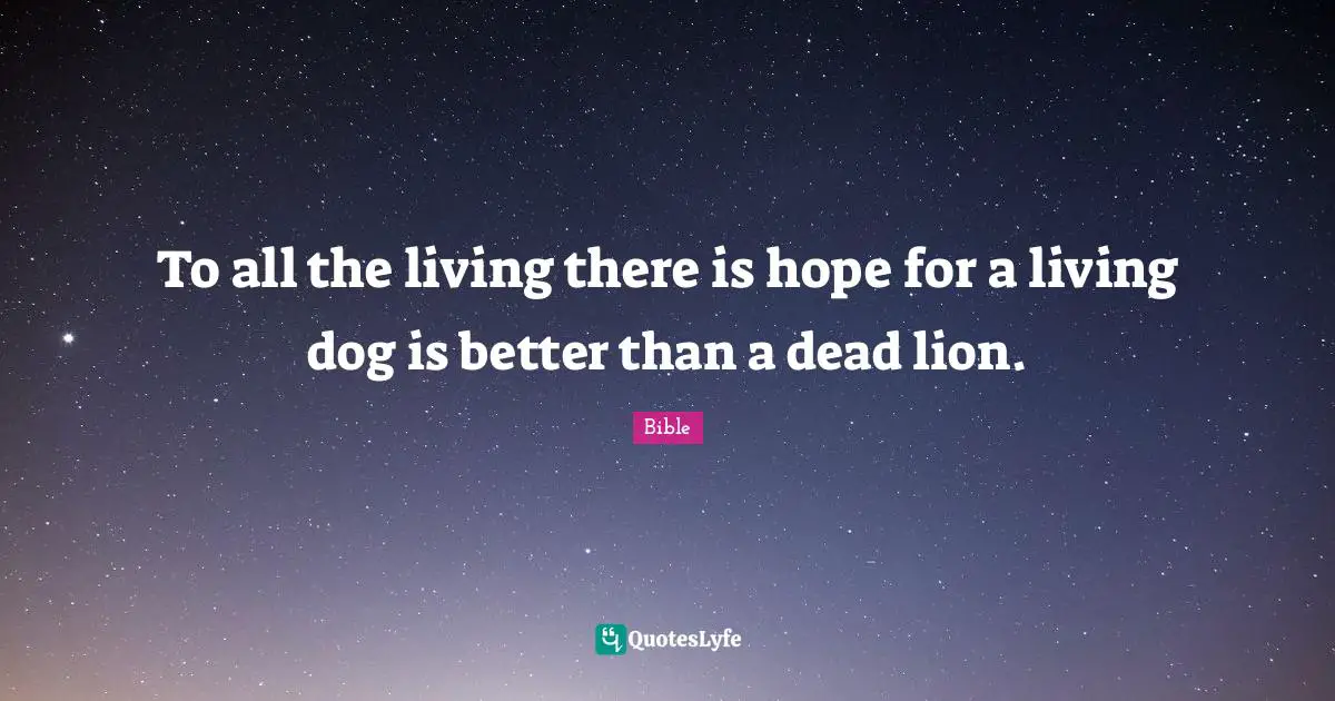 To all the living there is hope for a living dog is better than a dead lion.