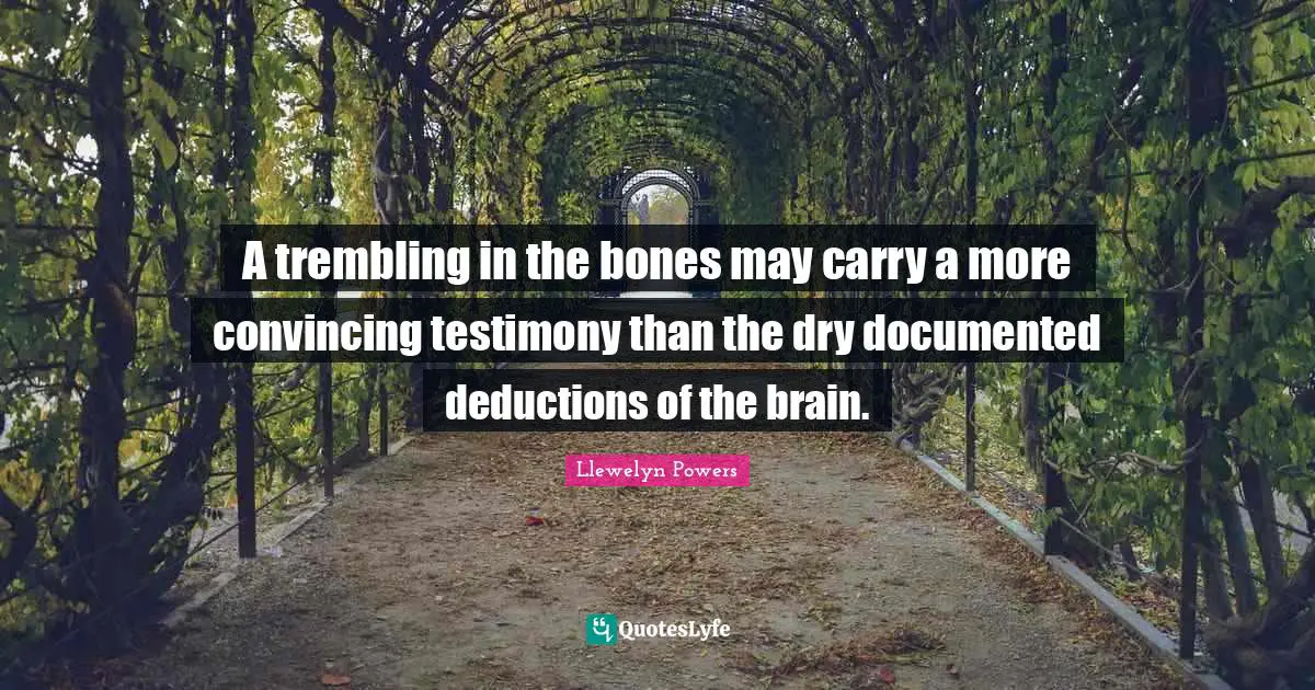 A trembling in the bones may carry a more convincing testimony than the dry documented deductions of the brain.