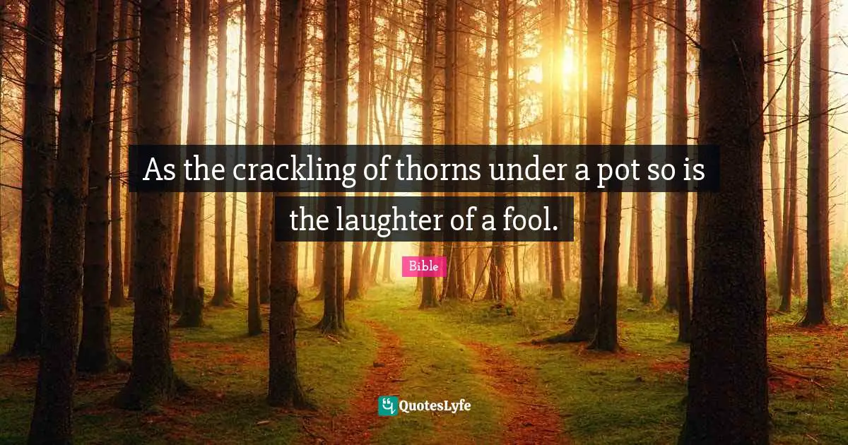 As the crackling of thorns under a pot so is the laughter of a fool.