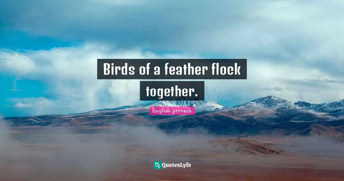 Birds of a feather flock together.
