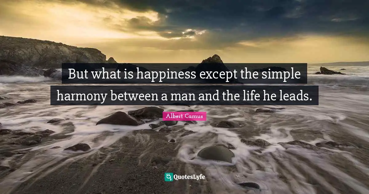 But what is happiness except the simple harmony between a man and the life he leads.