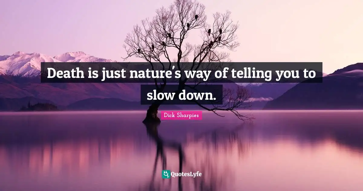 Death is just nature's way of telling you to slow down.