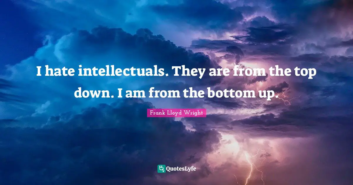 I hate intellectuals. They are from the top down. I am from the bottom up.