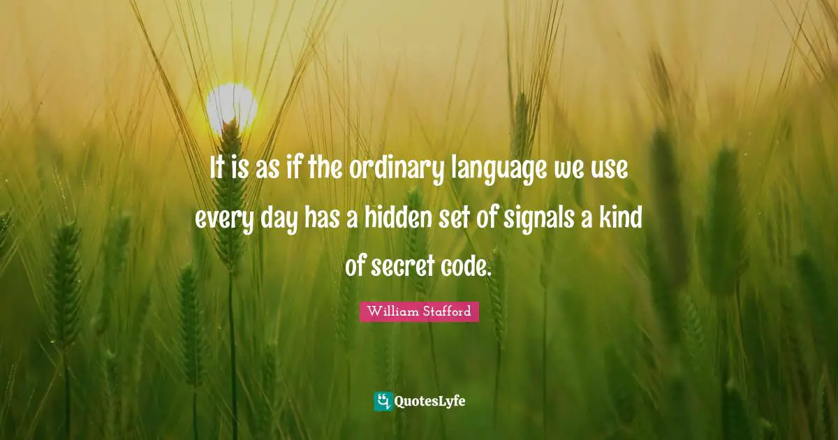 It is as if the ordinary language we use every day has a hidden set of signals a kind of secret code.