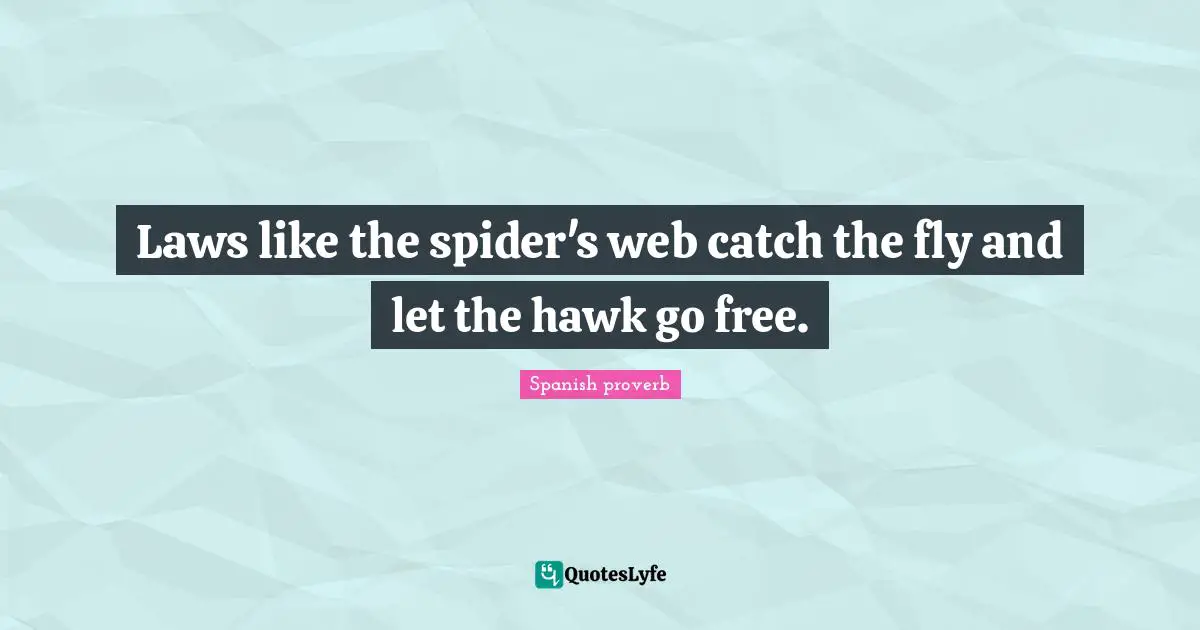 Spanish Proverb Quotes: "Laws like the spider's web catch the fly and let the hawk go free."