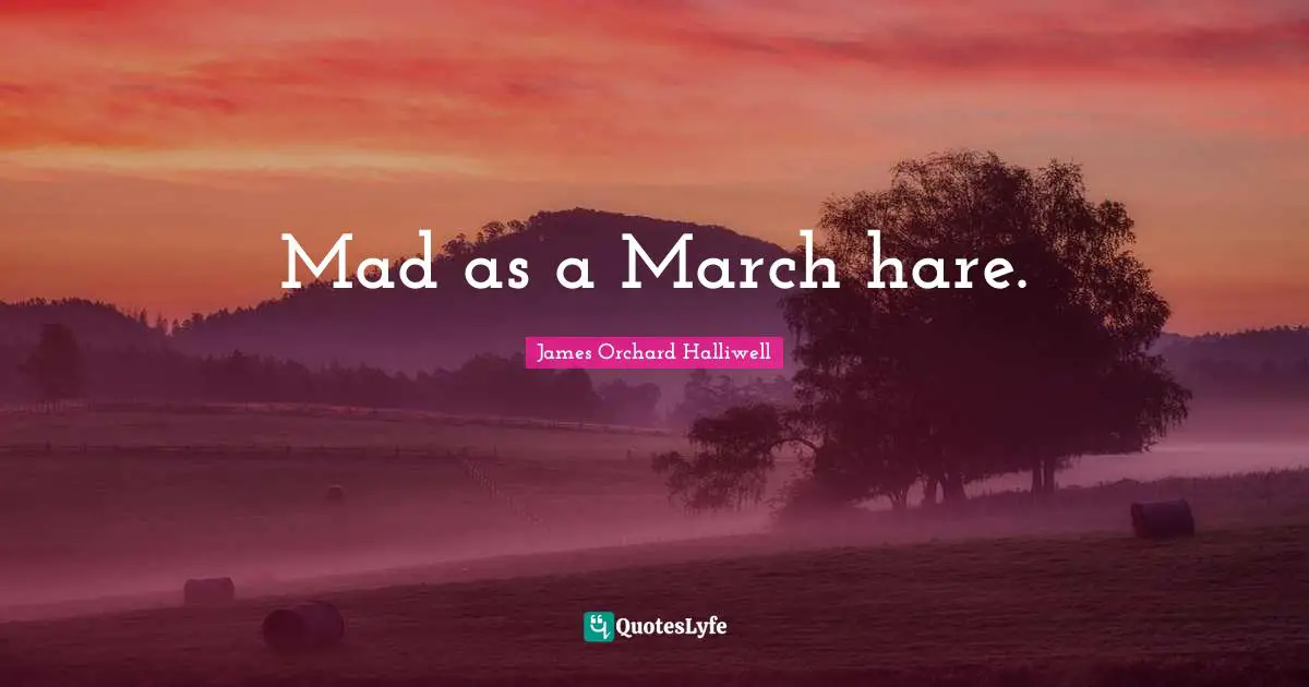 Mad as a March hare.