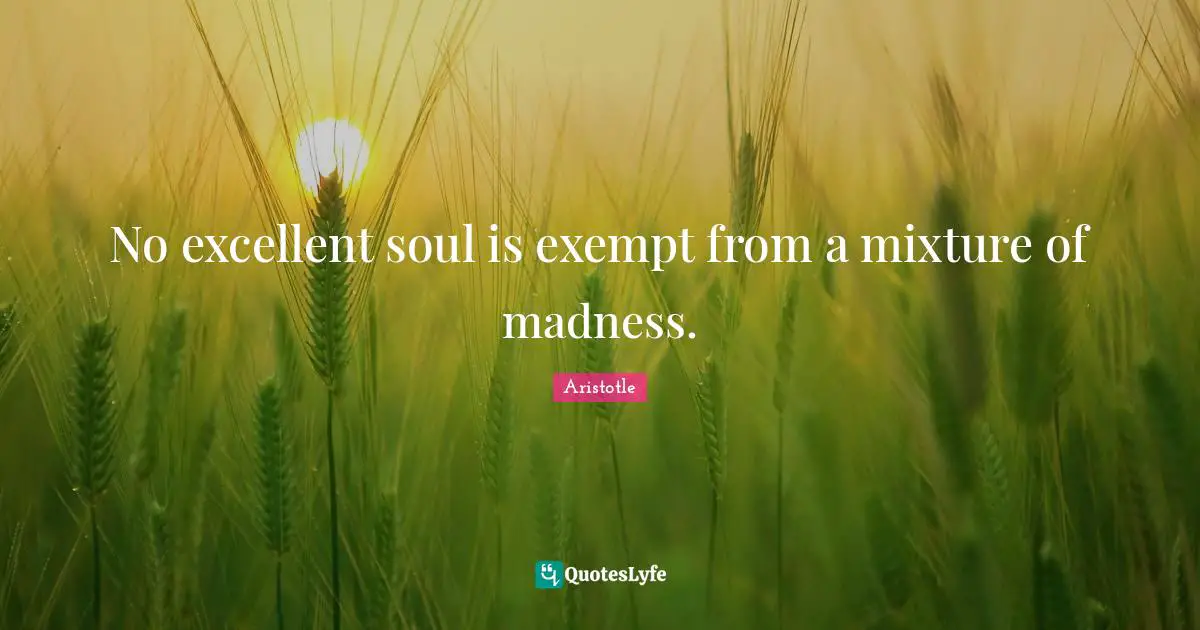 No excellent soul is exempt from a mixture of madness.
