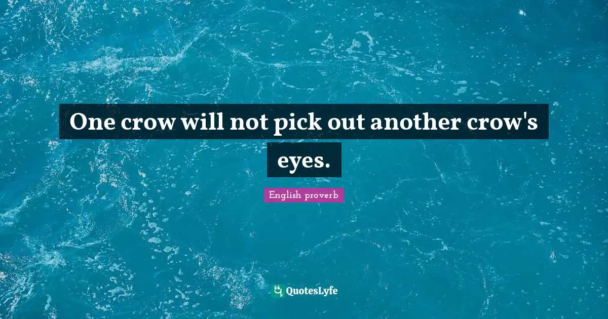 One crow will not pick out another crow's eyes.