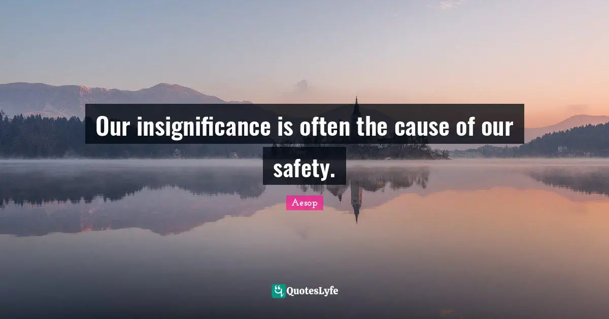Our insignificance is often the cause of our safety.