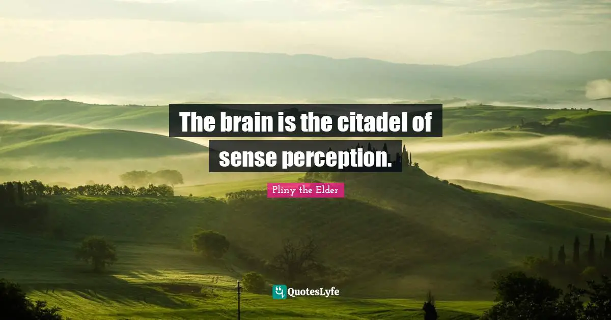 The brain is the citadel of sense perception.