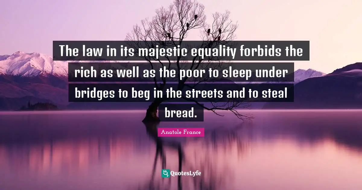 The law in its majestic equality forbids the rich as well as the poor to sleep under bridges to beg in the streets and to steal bread.